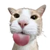chhzxw1