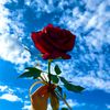 user3901719059053