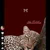 malak.yeeossr