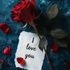 user85465721823734