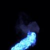 blue.leader3