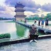 huquynnguyn33