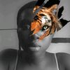 bigils_ob