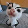 lucawxsz0