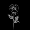 user8619565970870