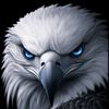 shaheen.ahmadzai483