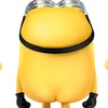 zeonix225132113