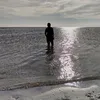 silvaxkkj