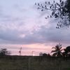 gonzalorosas65