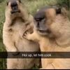 mari2funny47
