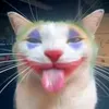 tudo_694