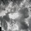 fatima.guadalupe245