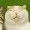 milovejandelandsammy