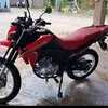 bruno.cruz3552