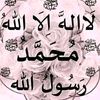 hadizamoussagmail.com0