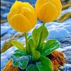 user133026912136