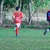 wilian.crack