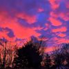 madison.miller647