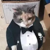 the.tuxedocat0