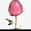 duylong_65
