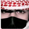 r461ali.amin