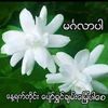 user4612244021256