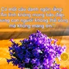 dsqh.com
