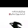 user4480737061830