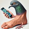 pigeonsrcool67