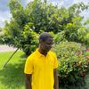 leghacycollections1