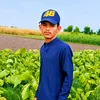 wattoo03846