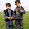 ali.basit.haidari