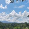 lagugalau034