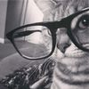 aalys_91