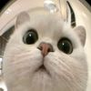 user.kaungthant10