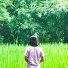 hppw_08