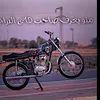 roqea243