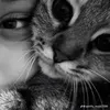 _veraxz7