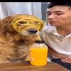 mjp_39