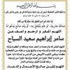 amr.mousa15