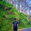 ekoaldy02