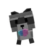 raccoone67