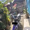 astu_aja4