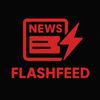 FlashFeed✅
