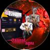 jannat.gaming197
