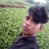 user444731396