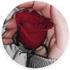rose64182