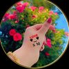 user7353601968