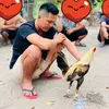 nguyenvanphu70k