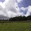 doncanucastillo